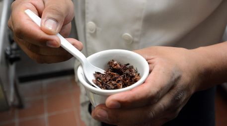 Esto es lo que pasa si se comen chapulines a menudo. NTX / ARCHIVO