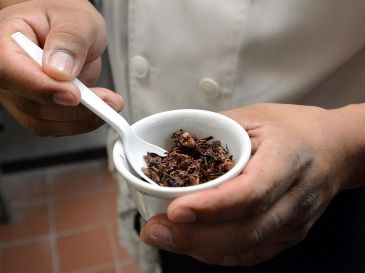 Esto es lo que pasa si se comen chapulines a menudo. NTX / ARCHIVO