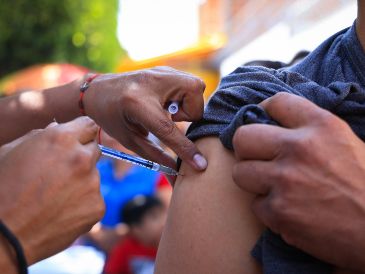 La campaña de vacunación responde a la presencia sostenida de casos desde 2025 y al aumento registrado en este inicio de año, con Jalisco concentrando más de la mitad de los casos confirmados en el país. EL INFORMADOR / J. Acosta