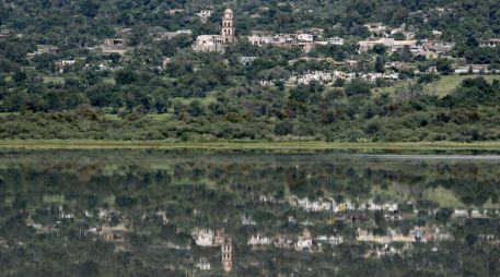 Hay también una zona de manglares en este municipio debido a su cercanía con la laguna de Sayula, cuando ésta tiene agua. EL INFORMADOR / ARCHIVO