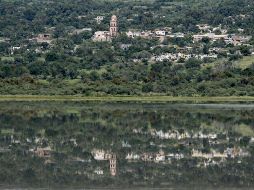 Hay también una zona de manglares en este municipio debido a su cercanía con la laguna de Sayula, cuando ésta tiene agua. EL INFORMADOR / ARCHIVO
