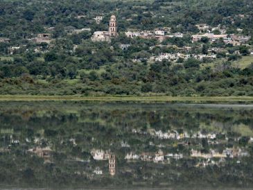 Hay también una zona de manglares en este municipio debido a su cercanía con la laguna de Sayula, cuando ésta tiene agua. EL INFORMADOR / ARCHIVO