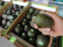 Para esta edición, el Super Bowl ha llamado para su popular espectáculo de medio tiempo al cantante puertorriqueño Bad Bunny. EFE/ARCHIVO