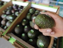 Para esta edición, el Super Bowl ha llamado para su popular espectáculo de medio tiempo al cantante puertorriqueño Bad Bunny. EFE/ARCHIVO