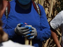 Madres Buscadoras de Jalisco reportan hallazgo de joven cerca de la autopista Guadalajara-Colima. ESPECIAL