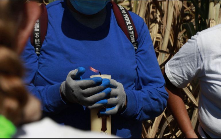 Madres Buscadoras de Jalisco reportan hallazgo de joven cerca de la autopista Guadalajara-Colima. ESPECIAL