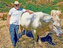 El Senasica reforzará el combate al gusano barrenador. EL INFORMADOR/Archivo