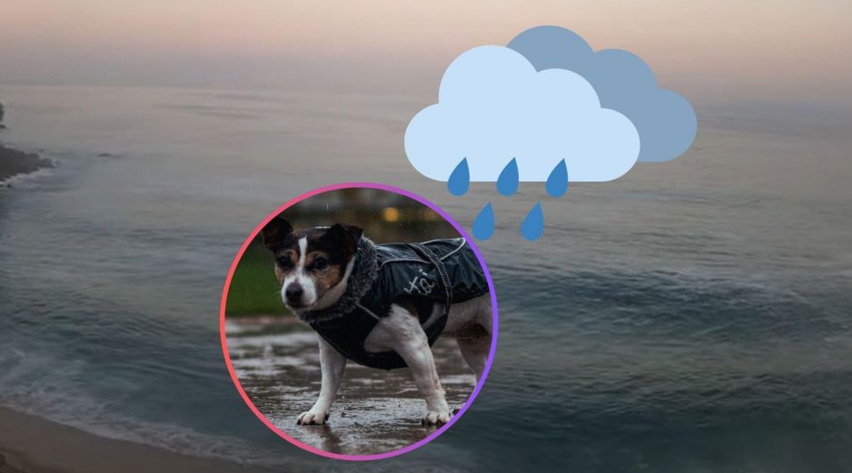 Este domingo continuará un anticiclón en niveles medios de la atmósfera, manteniendo ambiente cálido a caluroso en gran parte del país. UNSPLASH / M. Lindo / ESPECIAL / Webcams de México