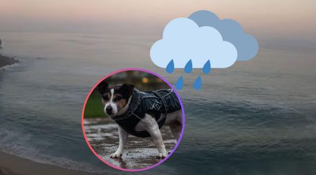 Este domingo continuará un anticiclón en niveles medios de la atmósfera, manteniendo ambiente cálido a caluroso en gran parte del país. UNSPLASH / M. Lindo / ESPECIAL / Webcams de México