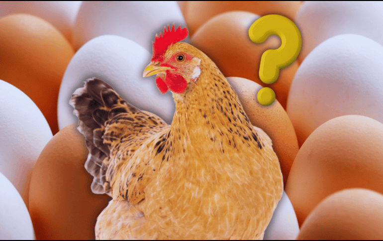 El color de la cáscara obedece única y exclusivamente a factores genéticos. ESPECIAL / CANVA