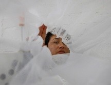 El 52% de las personas trabajadoras en esta industria carece de seguridad social. EFE/F. Guasco