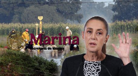 Esta es la segunda vez que el  antiguo vicealmirante de la Marina solicita intervención de la Presidenta. EFE / ARCHIVO