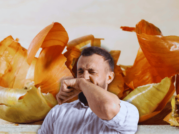 La cebolla, al ser rica en hidratos de carbono sencillos, fibra dietética y proteína, contribuye a la salud gastrointestinal, favorece el crecimiento de flora bacteriana y controla los niveles de colesterol. ESPECIAL / CANVA