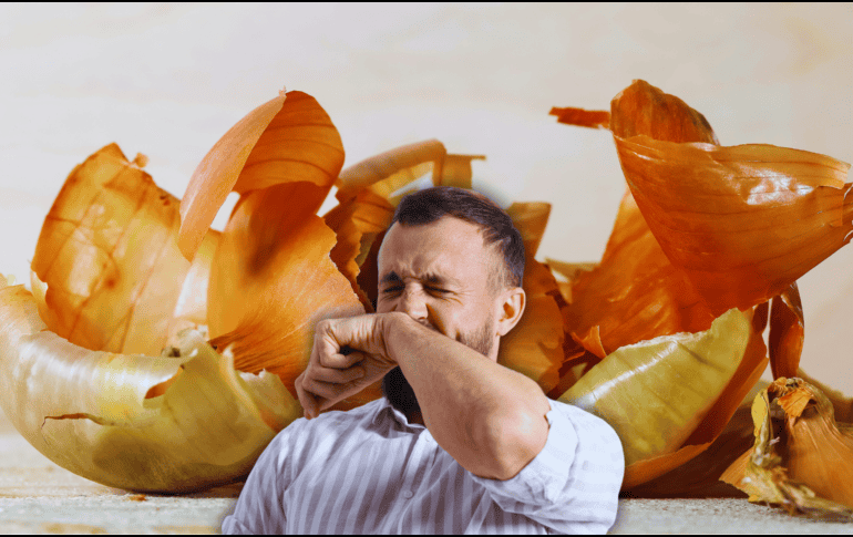 La cebolla, al ser rica en hidratos de carbono sencillos, fibra dietética y proteína, contribuye a la salud gastrointestinal, favorece el crecimiento de flora bacteriana y controla los niveles de colesterol. ESPECIAL / CANVA