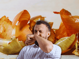 La cebolla, al ser rica en hidratos de carbono sencillos, fibra dietética y proteína, contribuye a la salud gastrointestinal, favorece el crecimiento de flora bacteriana y controla los niveles de colesterol. ESPECIAL / CANVA