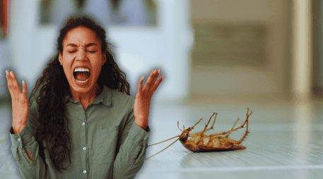 Las cucarachas buscan ambientes cálidos y húmedos, como cocinas y baños, donde pueden encontrar restos de alimentos y agua. ESPECIAL / CANVA