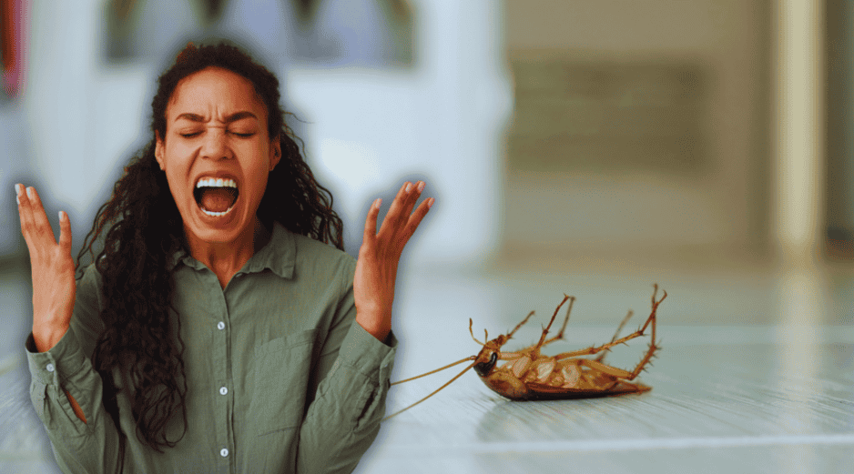 Las cucarachas buscan ambientes cálidos y húmedos, como cocinas y baños, donde pueden encontrar restos de alimentos y agua. ESPECIAL / CANVA