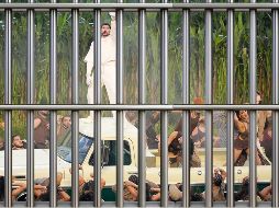 Los congresistas denuncian que las infancias estuvieron obligadas a ver 