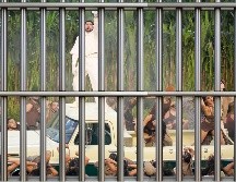 Los congresistas denuncian que las infancias estuvieron obligadas a ver 