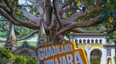Algunos árboles en Guadalajara han estado ahí, incluso, antes de que aparecieran los símbolos que hoy definen a la ciudad.  ESPECIAL / CANVA