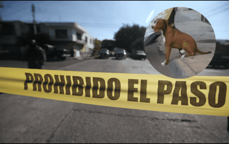 Al lugar llegaron paramédicos quienes confirmaron que el cuerpo de Don Mario no presentaba huellas de violencia, sin embargo, continúa la investigación respecto a su muerte. ESPECIAL/ EL INFORMADOR/ ARCHIVO