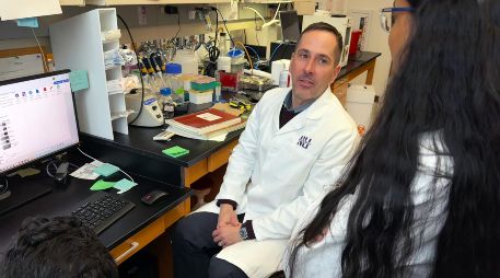 Este análisis respalda el efecto positivo del levetiracetam para frenar la progresión de la patología de Alzhéimer. EFE/Universidad Northwestern