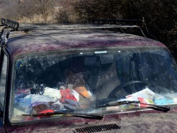 La medida forma parte de una estrategia integral para reducir la presencia de plagas en zonas urbanas. PEXELS