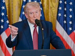 Donald Trump advirtió que los legisladores republicanos que votaron por esta medida podrían sufrir las consecuencias en las intermedias. AFP