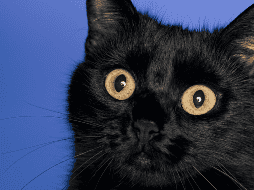 Viernes 13: Cuáles son las supersticiones más comunes y cuál es su historia