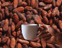 El café y el cacao juntos ofrecen una energía equilibrada y sostenida gracias a la cafeína y la teobromina. ESPECIAL / CANVA