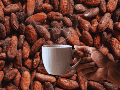 El café y el cacao juntos ofrecen una energía equilibrada y sostenida gracias a la cafeína y la teobromina. ESPECIAL / CANVA