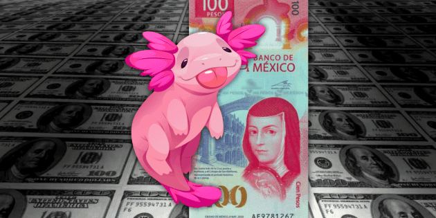 D&oacute;lar HOY en M&eacute;xico: Superpeso abre jornada del viernes con ligero tropiezo