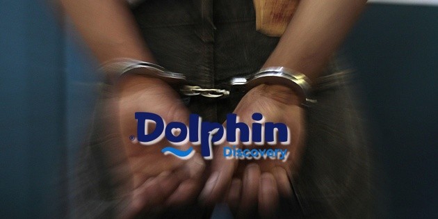 Detienen al CEO de Dolphin Discovery en Canc&uacute;n