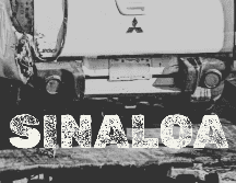 El hallazgo ocurrió cuando automovilistas que transitaban por la autopista notaron que alrededor de la caja de la camioneta había muchas moscas. ESPECIAL/SUN
