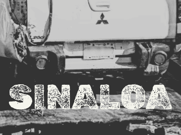 La tarde del miércoles se descubrió que en la parte trasera de una camioneta Pick Up abandonada en el acotamiento del carril de norte a sur de la Autopista Benito Juárez. ESPECIAL/SUN