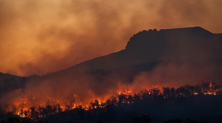 En la temporada actual 2025-2026, que comenzó el pasado septiembre, ya se han destruido más de 64.000 hectáreas. Unsplash