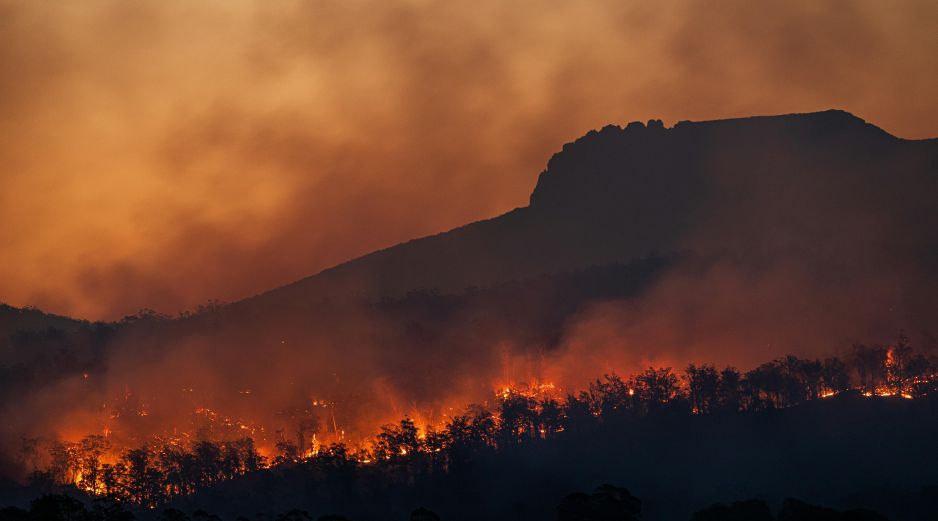 En la temporada actual 2025-2026, que comenzó el pasado septiembre, ya se han destruido más de 64.000 hectáreas. Unsplash