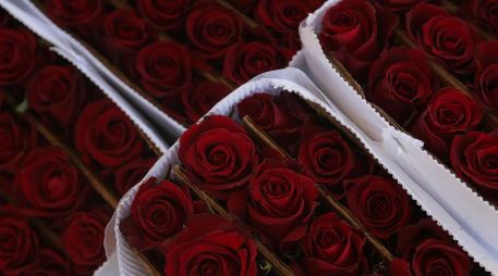 El 14 de febrero representa la segunda fecha más importante para el sector ornamental. CORTESÍA