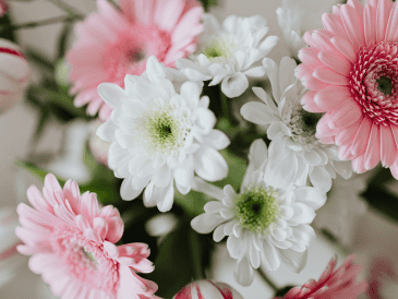 Este 14 de febrero regala flores dependiendo del mensaje y sentimiento que quieras transmitirle a la otra persona. CANVA