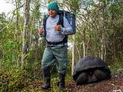 Las autoridades señalaron que cada animal pasó por protocolos de cuarentena y evaluaciones veterinarias para facilitar su monitoreo. EFE/MINISTERIO DE AMBIENTE Y ENERGIA