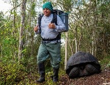 Las autoridades señalaron que cada animal pasó por protocolos de cuarentena y evaluaciones veterinarias para facilitar su monitoreo. EFE/MINISTERIO DE AMBIENTE Y ENERGIA