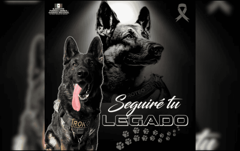 Hoy, su nombre no solo identifica a un escuadrón, sino a un legado que continúa inspirando a quienes portan el uniforme y a toda una nación que reconoce en él a un verdadero héroe. X / @Defensamx1