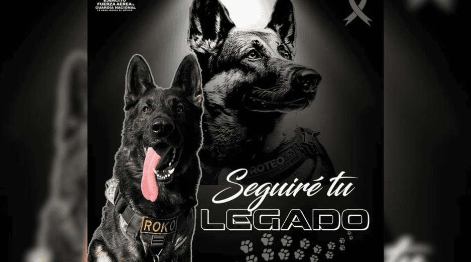 Hoy, su nombre no solo identifica a un escuadrón, sino a un legado que continúa inspirando a quienes portan el uniforme y a toda una nación que reconoce en él a un verdadero héroe. X / @Defensamx1