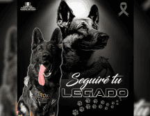 Hoy, su nombre no solo identifica a un escuadrón, sino a un legado que continúa inspirando a quienes portan el uniforme y a toda una nación que reconoce en él a un verdadero héroe. X / @Defensamx1