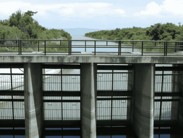 El funcionario ha señalado que el actual acueducto tiene una eficiencia del 75 por ciento, es decir, se pierde el 25% del agua que traslada de Chapala a Guadalajara. EL INFORMADOR/ARCHIVO