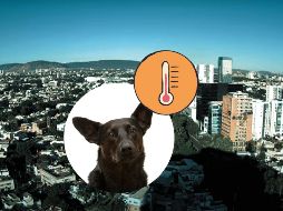 Gran parte de México, incluiyendo Guadalajara, será afectado por la circulación anticiclónica, lo que propiciará afectaciones en las temperaturas. UNSPLASH / D. Lezcano / ESPECIAL / Webcams de México