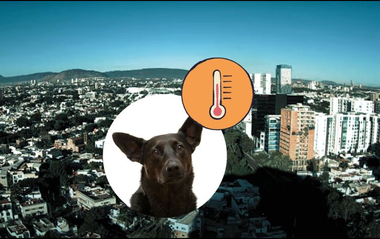 Gran parte de México, incluiyendo Guadalajara, será afectado por la circulación anticiclónica, lo que propiciará afectaciones en las temperaturas. UNSPLASH / D. Lezcano / ESPECIAL / Webcams de México