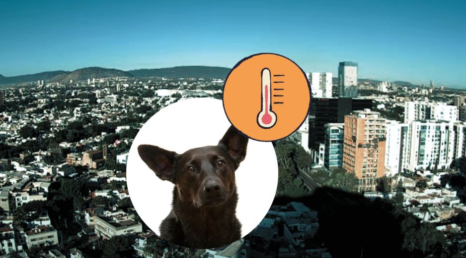 Gran parte de México, incluiyendo Guadalajara, será afectado por la circulación anticiclónica, lo que propiciará afectaciones en las temperaturas. UNSPLASH / D. Lezcano / ESPECIAL / Webcams de México