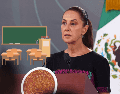 Sheinbaum recordó que la Nueva Escuela Mexicana se implementó en 2018 bajo el gobierno de Andrés Manuel López Obrador. SUN / ARCHIVO