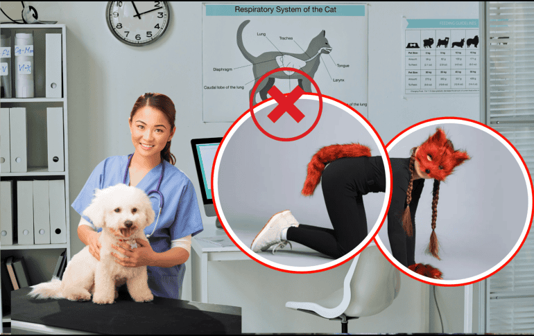 El caso fue relatado por Verónica Veglia, presidenta del Colegio de Veterinarios de San Luis, en declaraciones a la radio LU5.  ESPECIAL/PINTEREST